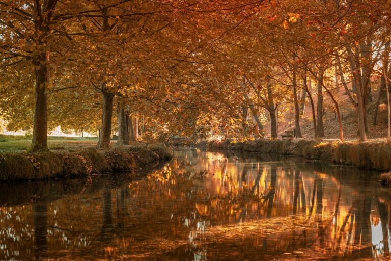 Descubre la historia y encanto de la ermita de la Virgen del Mar