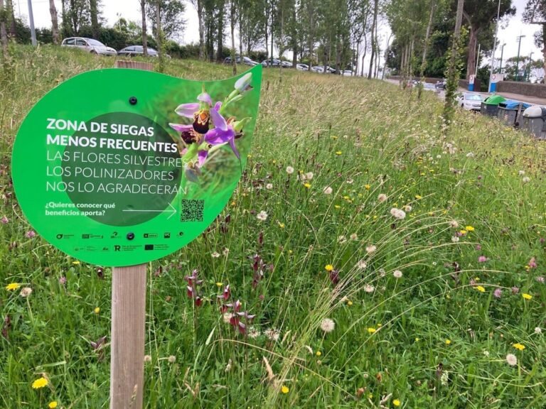 Santander favorece la floración reduciendo siegas en praderas en 2025